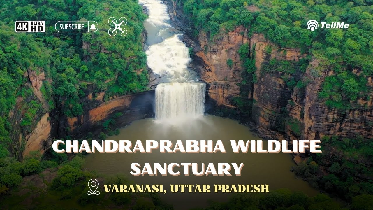 Experience the HIDDEN GEM of Chandraprabha Wildlife Sanctuary in Varanasi!