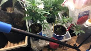 Tuesday night update