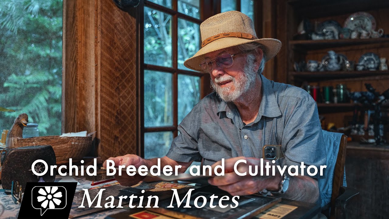 Martin Motes: Orchid Breeder and Cultivator
