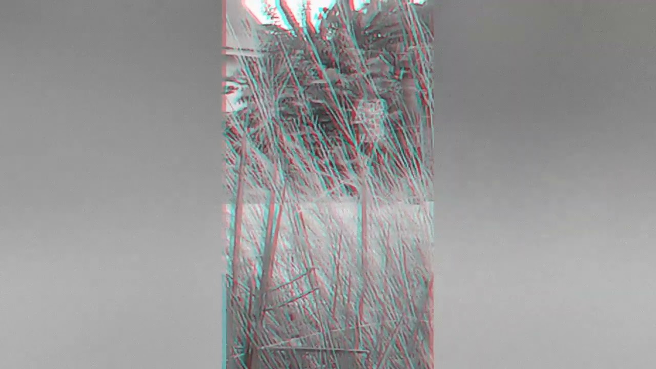 Bintang disurga peace band