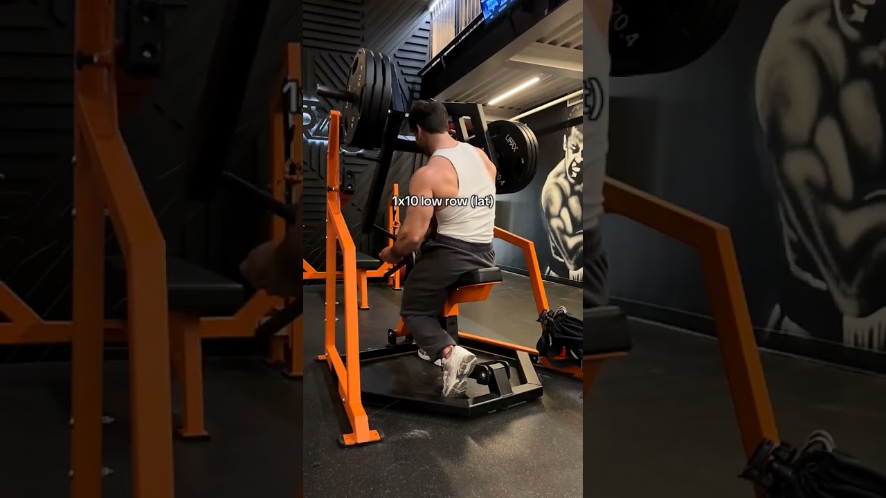 effective back workout | 