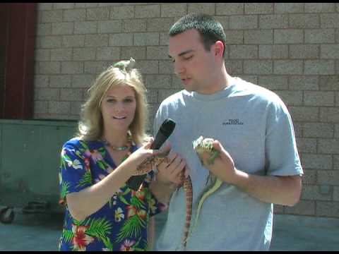 exotic pets australia Jungle Jenny with Todd and his Red Tegu and Salvatore Monitor at the 2009 America's Family Pet Expo