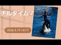 チルタイム♪ 2026.5.19 14:17