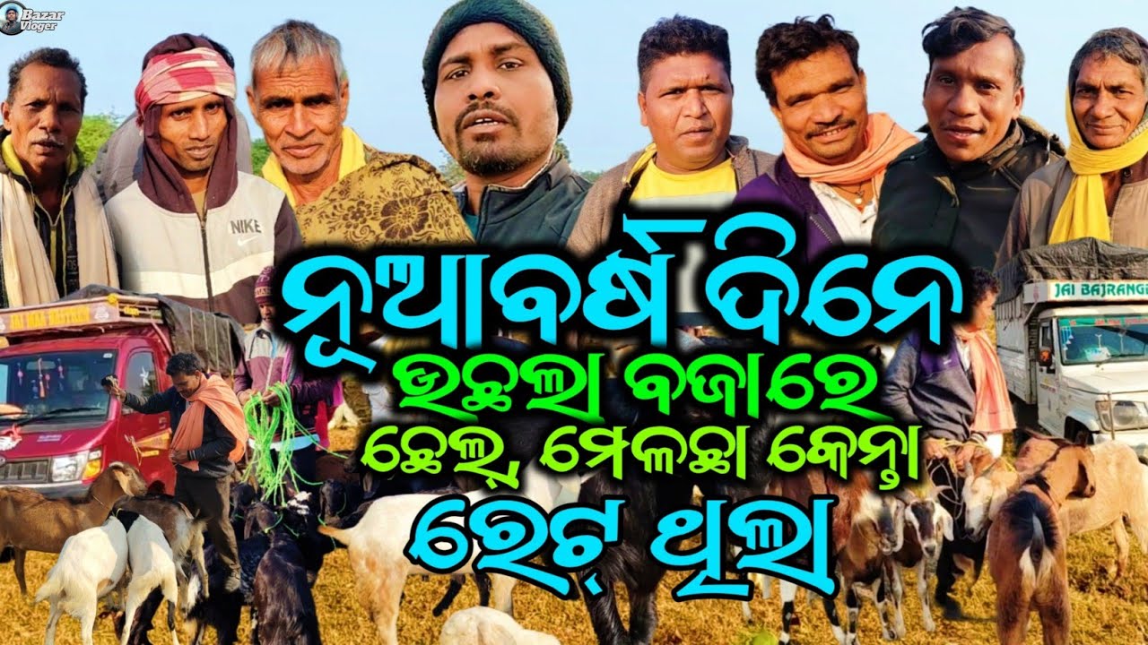 ନୂଆ ବର୍ଷଦିନେ ଉଛଲା ବଜାରେ ଛେଳି ରେଟ୍ କେନ୍ତା ଥିଲା  || ଉଛଲା ଗୁରୁବାର ବଜାର୍ 
