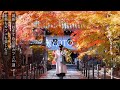【京都vlog】最新おすすめ京都カフェ10選/秋の京都で紅葉狩り/京都旅行/kyoto trip