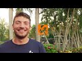 WK 2017 dag 2 (25/09) Stef Broenink