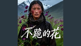 不跪的花
