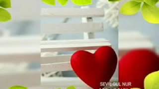 Sevil Gul  Nur \