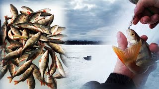 видео: РЫБАЛКА В КОНЦЕ МАРТА НА ЛЕСНОМ ОЗЕРЕ.ЗАКРЫТИЕ ЗИМНЕГО СЕЗОНА РЫБАЛКИ. картинка: РЫБАЛКА В КОНЦЕ МАРТА НА ЛЕСНОМ ОЗЕРЕ.ЗАКРЫТИЕ ЗИМНЕГО СЕЗОНА РЫБАЛКИ.