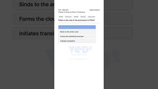 Role of Anticodon in tRNA Molecular Basis of Inheritance Biology 12th