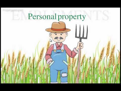 Examples Of Emblements In Real Estate