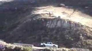 Darwin award winner