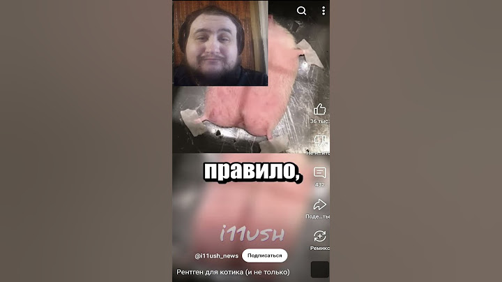 ▷Рентген для котика (и не только) РЕАКЦИЯ