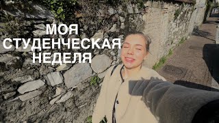 Dear diary… моя учебная неделя #2