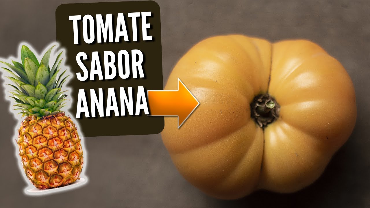 5 TOMATES EXÓTICOS Y RAROS PARA TENER ESTA PRIMAVERA EN TU HUERTA!