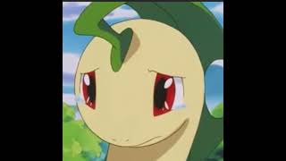 Ash makes bayleef cry x 7 weeks and 3 days(Pokémon)