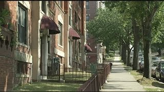 Springfield's 14th homicide victim identified