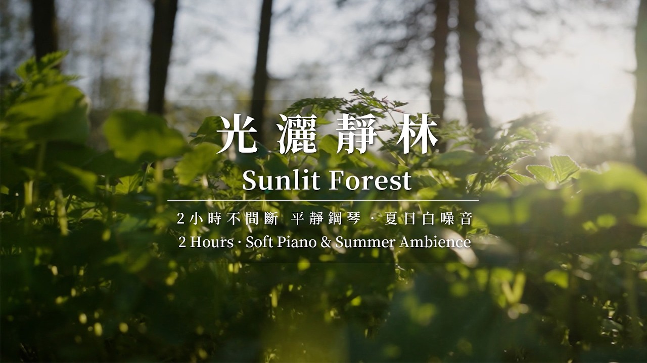 【柔和鋼琴與森林白噪音】 2小時放鬆音樂 | 2-Hour Forest Piano Ambience for Relaxation |