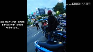 Fana merah jambu cocok buat Status wa