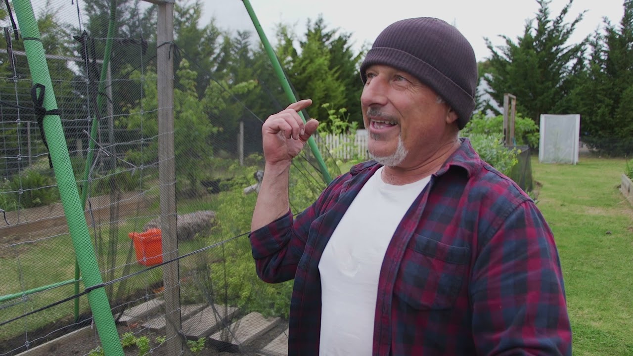 Netting My Veggie Garden