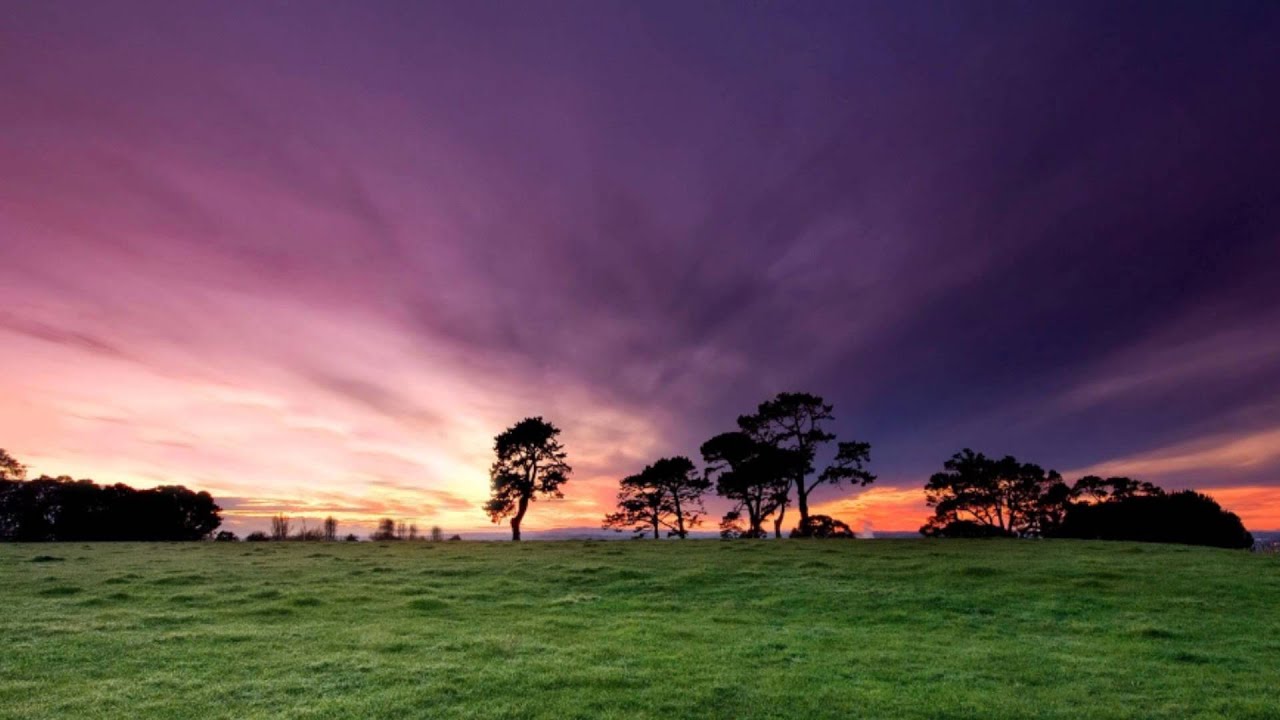 Jacoo - Foreign Dreams (feat. Laura Hahn)