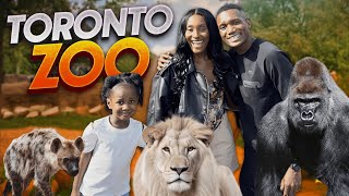 Toronto Zoo Family Day Out with Lions , Rhino  & Hyenas 2024