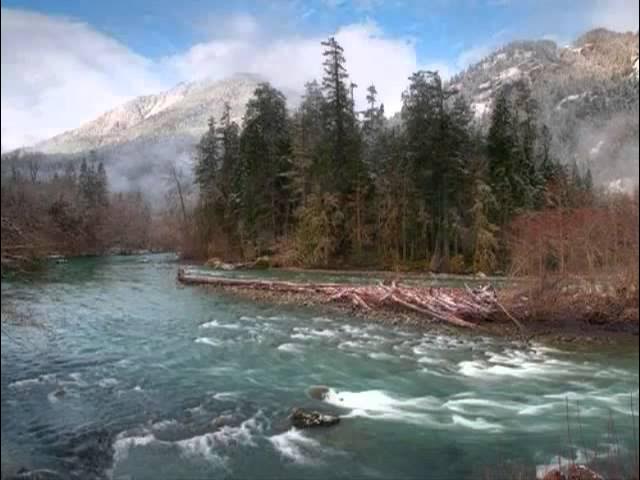 【Chinese zither tune】A Moonlit Night On The Spring River 【Chinese zither tune】A Moonlit Night On The Spring River