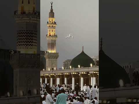 Bo madina #shortvideo #viralvideo