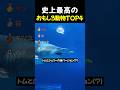 史上最高のおもしろ動物TOP4