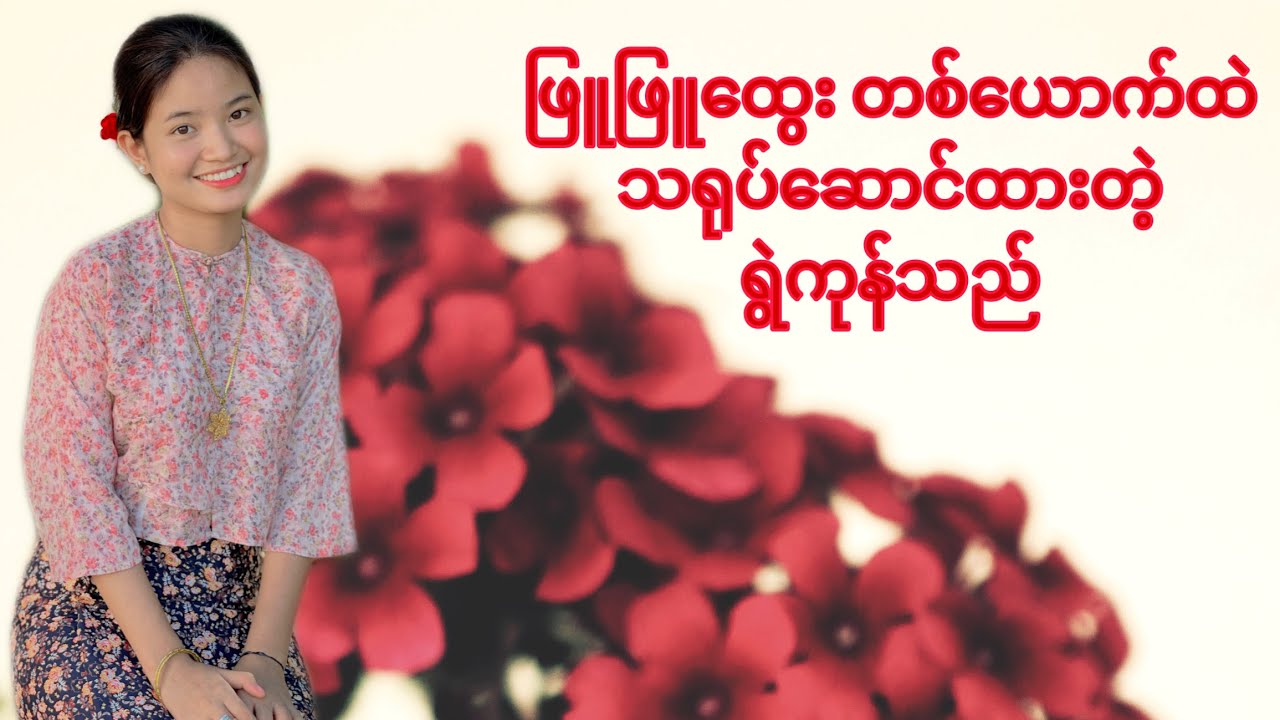 ရွဲကုန်သည်ဇာတ်ကြီး သရုပ်ဆောင်မှု