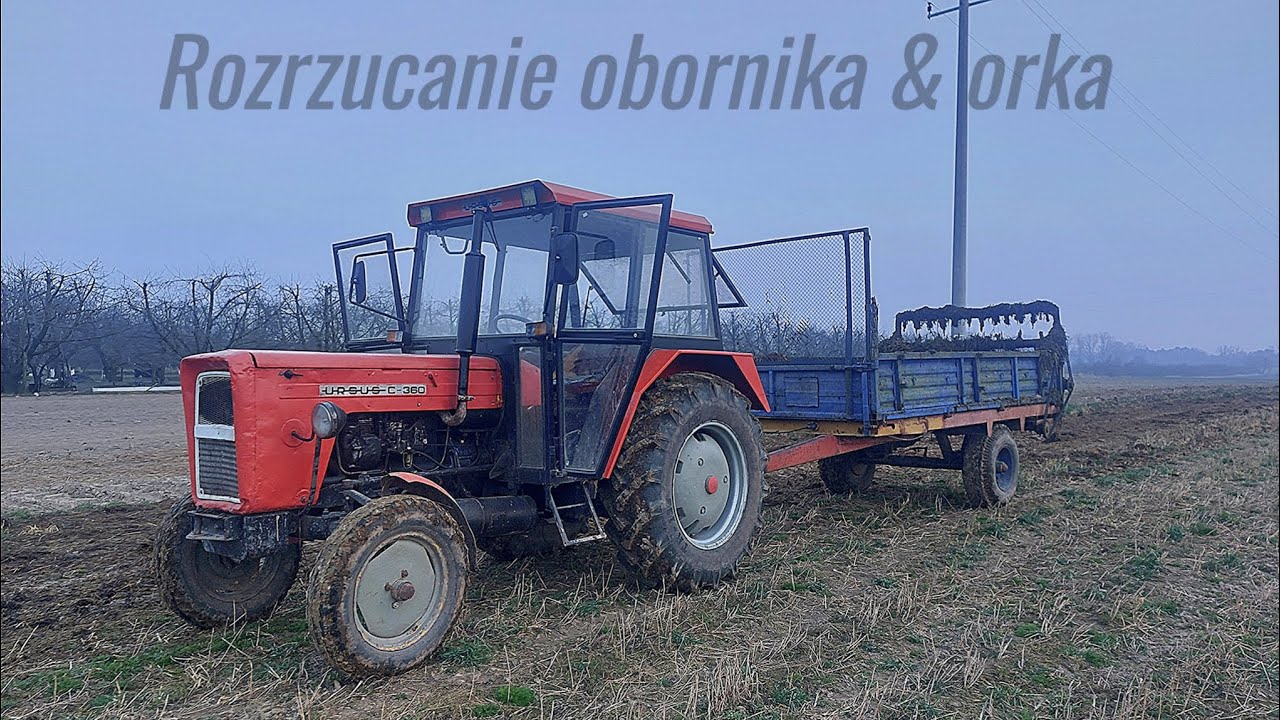 Rozrzucanie obornika & orka 2025🔥🎥/2x ursus💪/ ursus c360 i c355🇵🇱