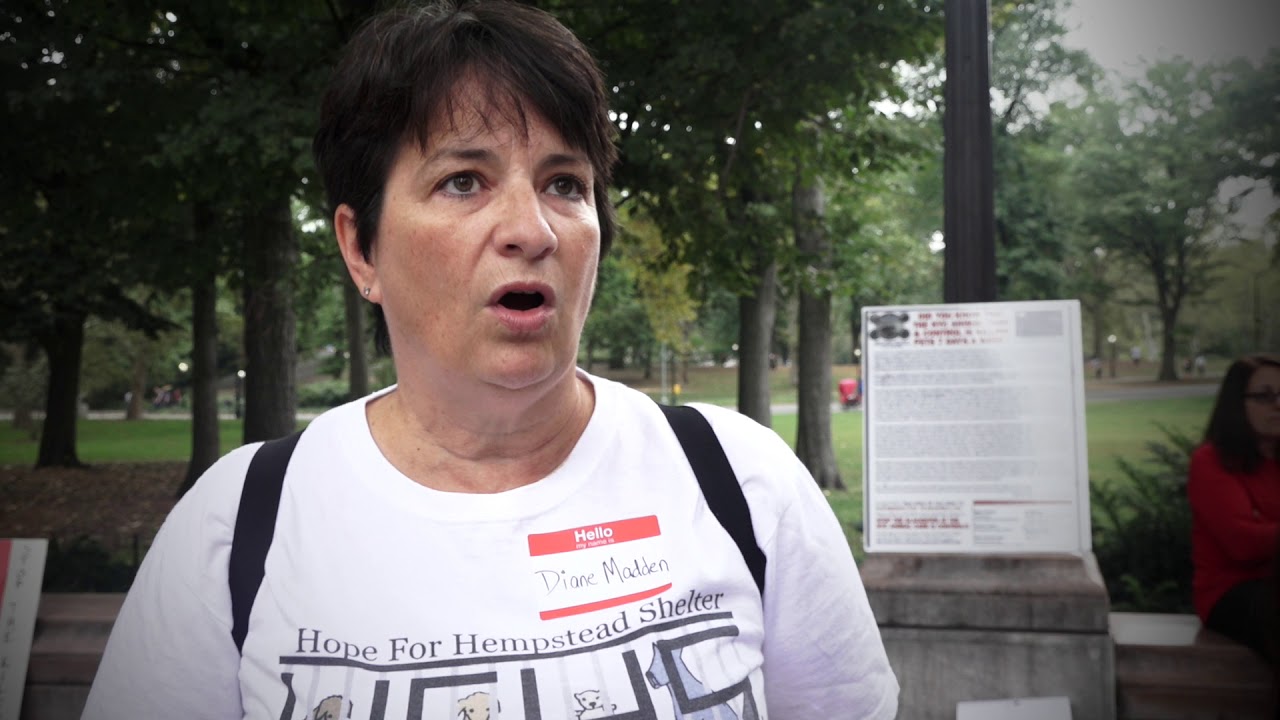 Diane Madden Talks About The Corruption At Town Of Hempstead Animal Diane madden talks about the corruption at town of hempstead animal