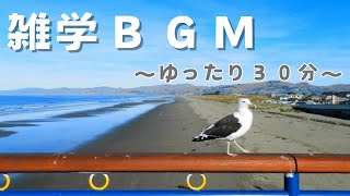 【BGM】雑学BGM～ゆったり30分～ by シンプル雑学 108 views 3 months ago 31 minutes