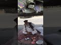 pak afghan border Torkham still closed and transporters are suffering.#pakafghan #shortvideo #viral