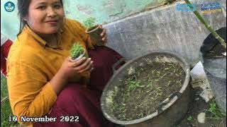 Program KM4 (Minggu 15) || UPT SDN 181 Makitta