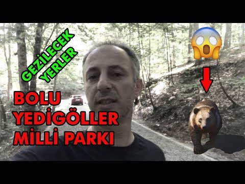 Bolu Yedigöller Milli Parkı nı gezdim | Gezilecek Yerler