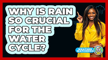 Why Is Rain So Crucial For The Water Cycle? - Weather Watchdog