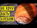 Кот не хочет быть хлебом! Приколы | Мемозг #409