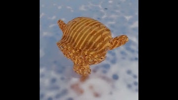 Geometry nodes fun with uv unwrap