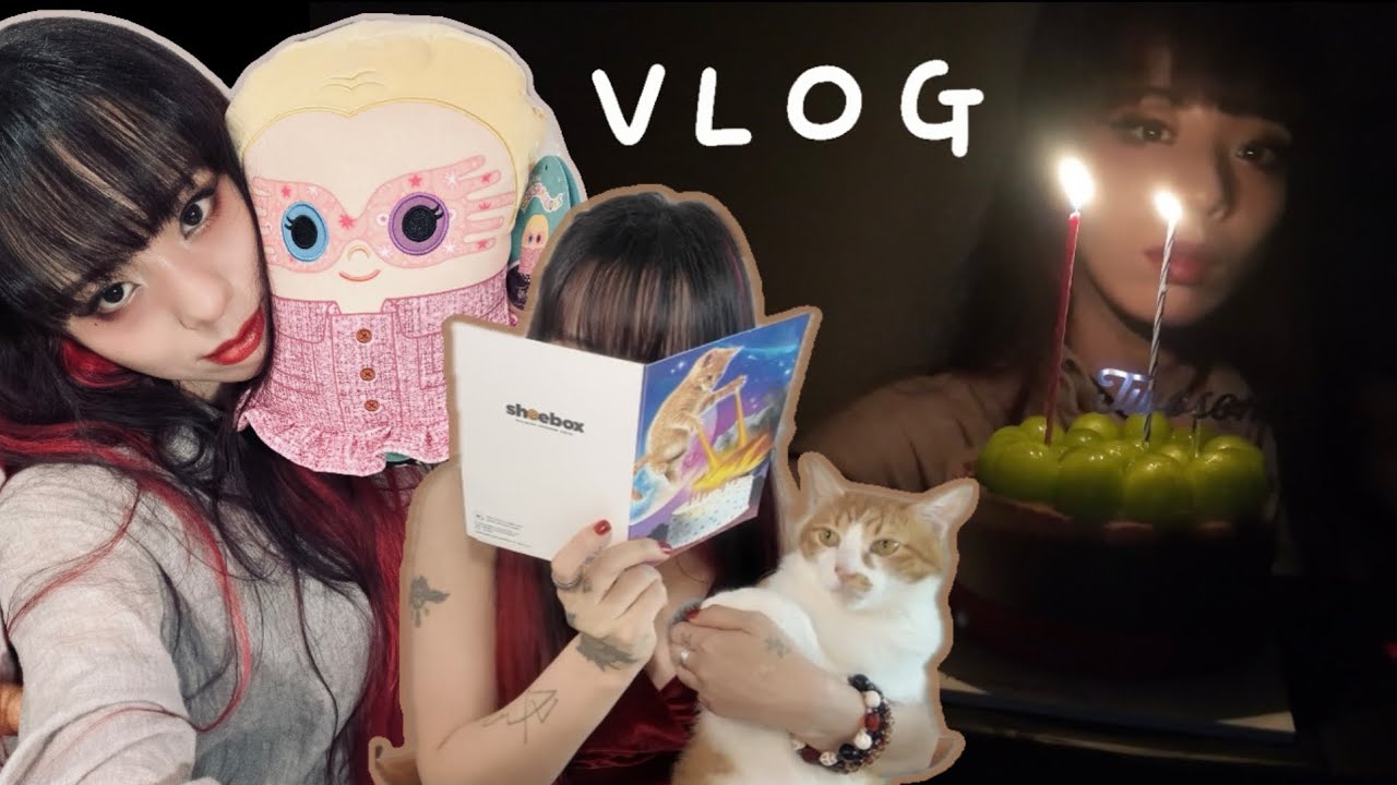 생일 브이로그 🎂 My Birthday Vlog(양주 천만송이 천일홍 축제)