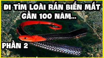Phần 2 | Hành Trình Đi Tìm Loài Rắn Mất Tích Gần 100 Năm | Bungarus Flaviceps