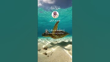 الآيات 111-112 من سورة البقرة بصوت الشيخ ماهر المعيقلي