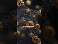 The Lie of Physical Bitcoin and the Legendary Casascius coins