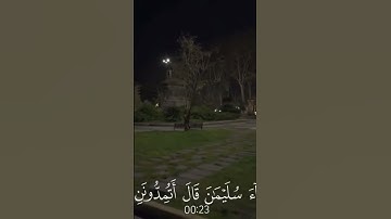 أن الملوك إذا دخلوا قريه افسدوها, تلاوة رائعة للشيخ ياسر الدوسري لما تيسر من سوره النمل#allah#video