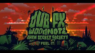 DUB FX & WOODNOTE | 9. FEEL IT