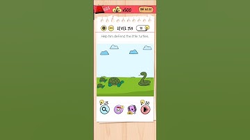 SAVE THE LITTLE TURTLES: BRAIN TEST LEVEL 259