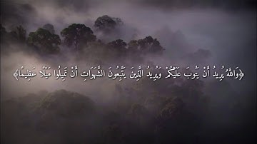 ﴿وَاللَّهُ يُرِيدُ أَنْ يَتُوبَ عَلَيْكُمْ﴾بصوت القارئ: مؤيد المزين،،. أجمل حالات واتس اب دينية 🌹