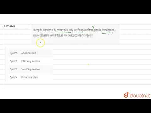Video: Under bildandet av primär växtkropp?
