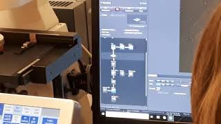 Zen Microscope training 17