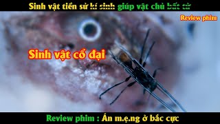 Sinh vật tiền sử có khả năng tái tạo cơ t.h.ể trở thành b.ất t.ử - Review phim